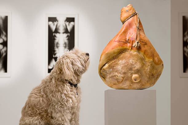 muzeum wizyty - exhibition of dog zdjęcia i obrazy z banku zdjęć