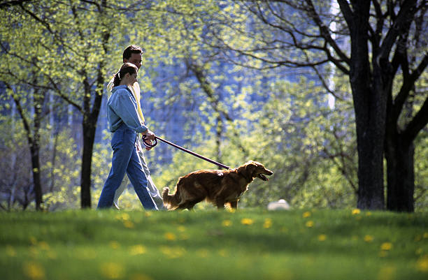 Joven Pareja caminando con su perro en el parque - foto de stock