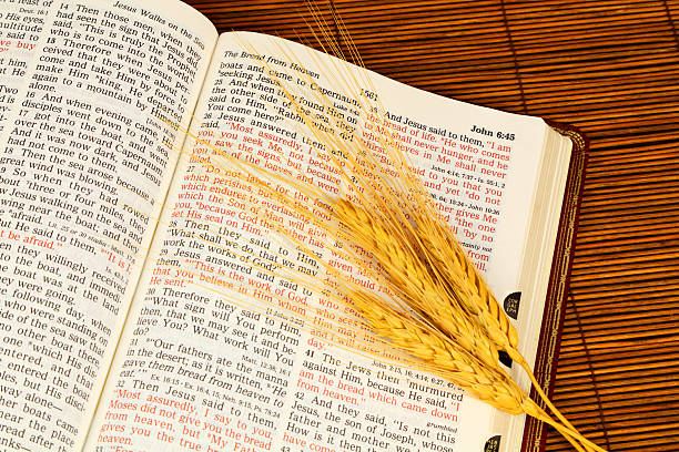 istock Religious: I Am the Bread Bible scripture with wheat heads 471317383