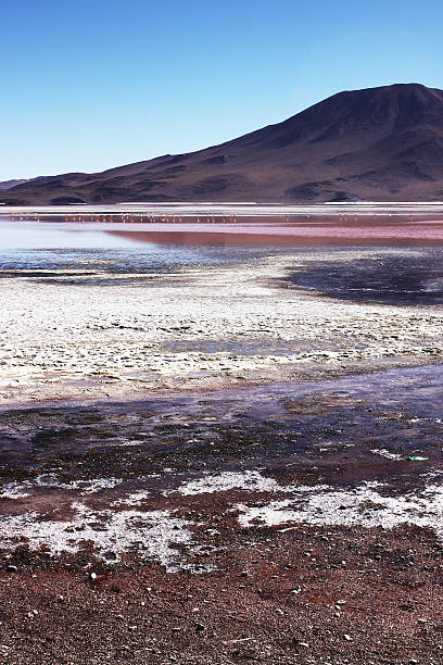 istock Colorful lakes in Bolivia 471318218