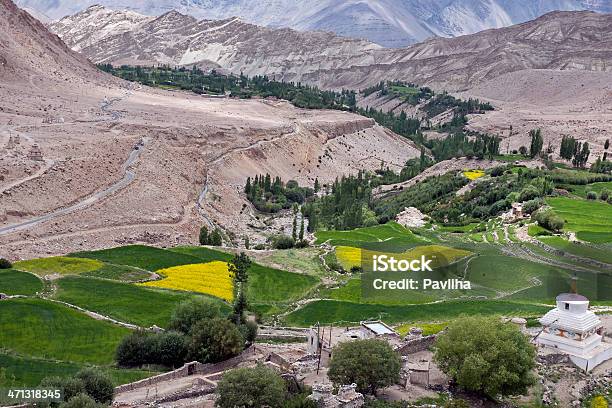 Villaggio Likir In Ladakh India Settentrionale - Fotografie stock e altre immagini di Ladakh - Ladakh, Raccolto, Agricoltura