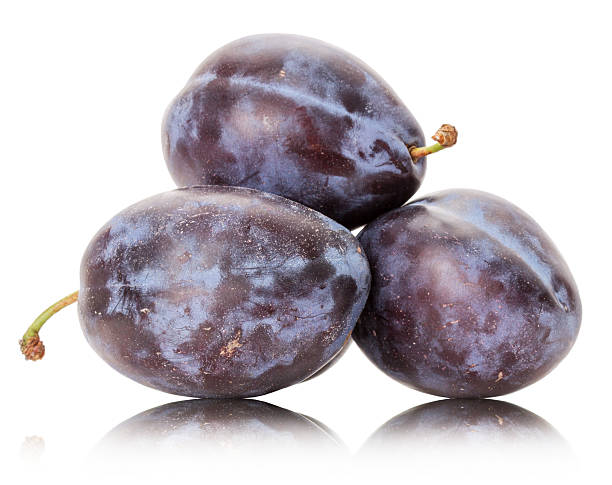 istock purple plums isolated on the white background 471318740