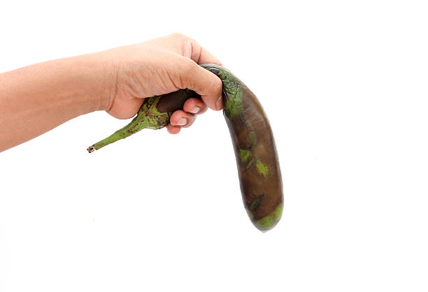 Hand holding limp old eggplant stock photo