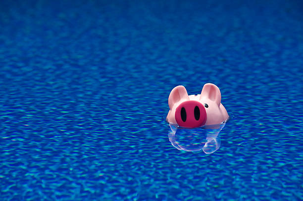 istock Savings-Pigg Bank Head above water 471319189