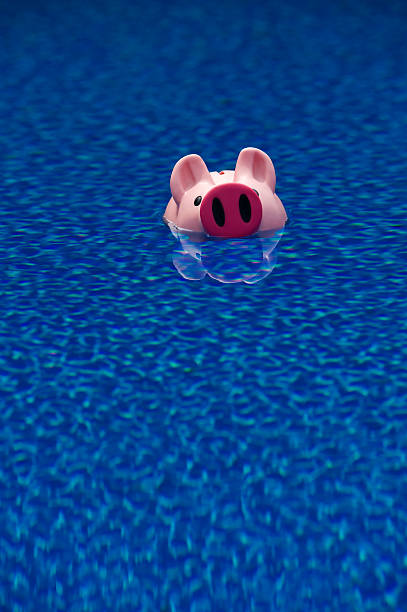 istock Savings-Piggy Bank Head above water 471319191