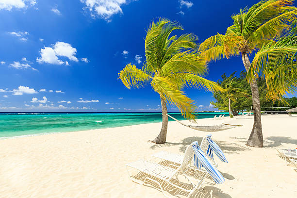 seven mile beach, gran caimán - cayman islands fotografías e imágenes de stock