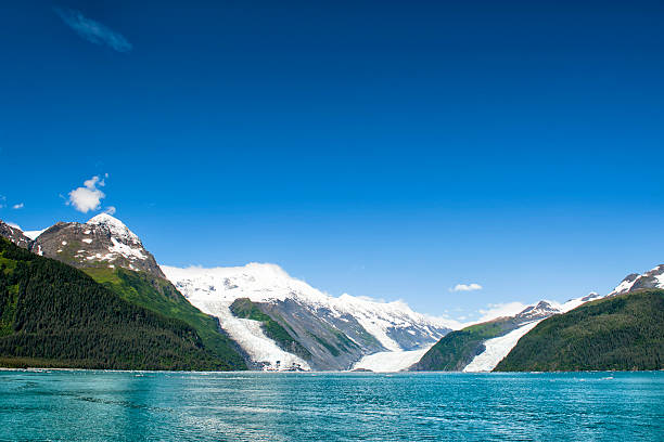 istock Alaska prince william sound Glacier View 471323110