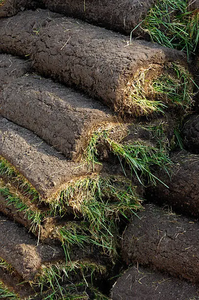 Lawn turf rolls stacked together