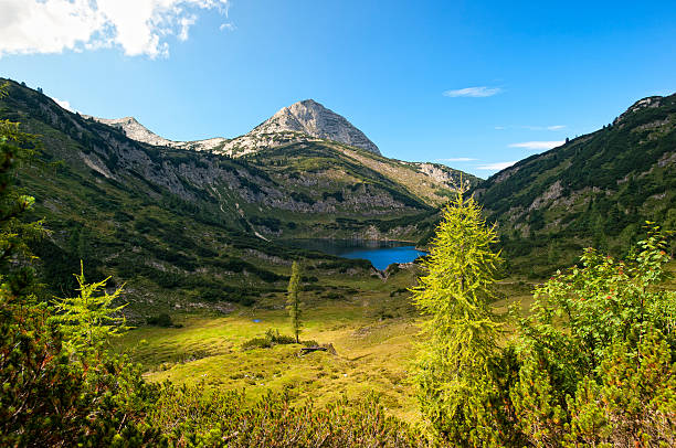 istock Alpine Lake in the Austrian Alps 471325673