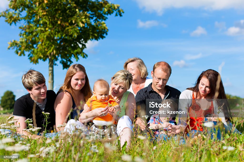 multi-generation Family y-se divierten en prado del verano - Foto de stock de Tía libre de derechos