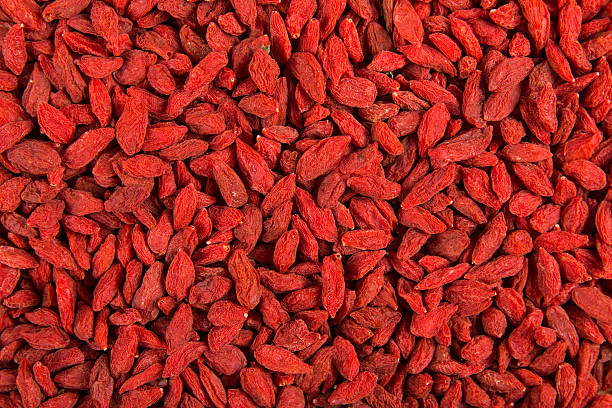 goji - lycium chinese imagens e fotografias de stock