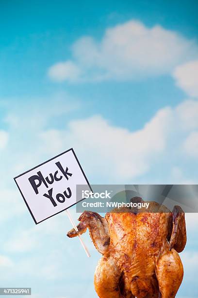 Thanksgiving Turkey Holding Sign Stock Photo - Download Image Now - Bird, Celebration Event, Cooking