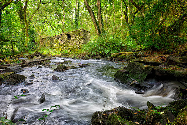 Anllons River in La Coruna, Galicia, nor-west of Spain. 