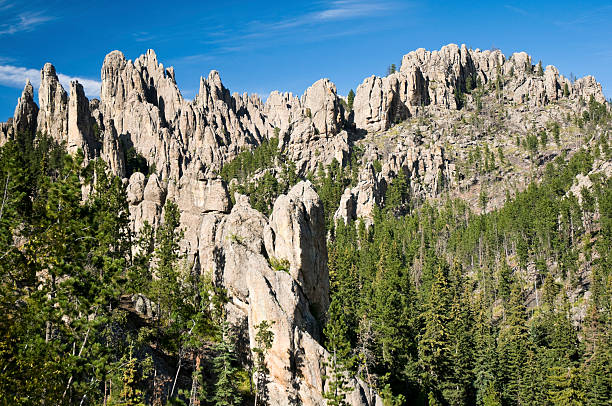 &quot;The Needles&quot; in Custer State Park, South Dakota Granite geological formation, called "The Needles" in Custer State Park, South Dakota. custer state park stock pictures, royalty-free photos & images