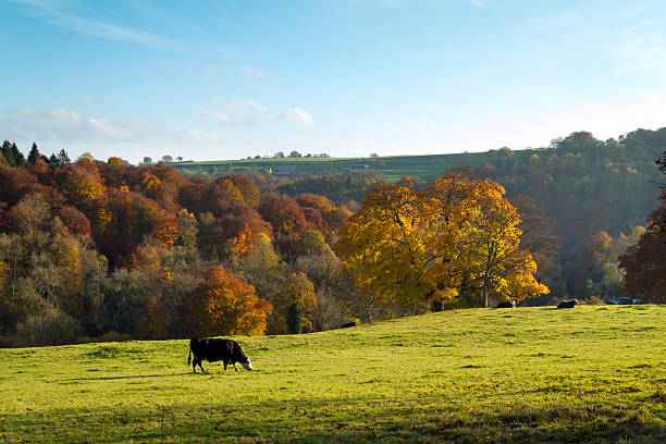 istock Scenic Cotswolds - Autumn 471334089