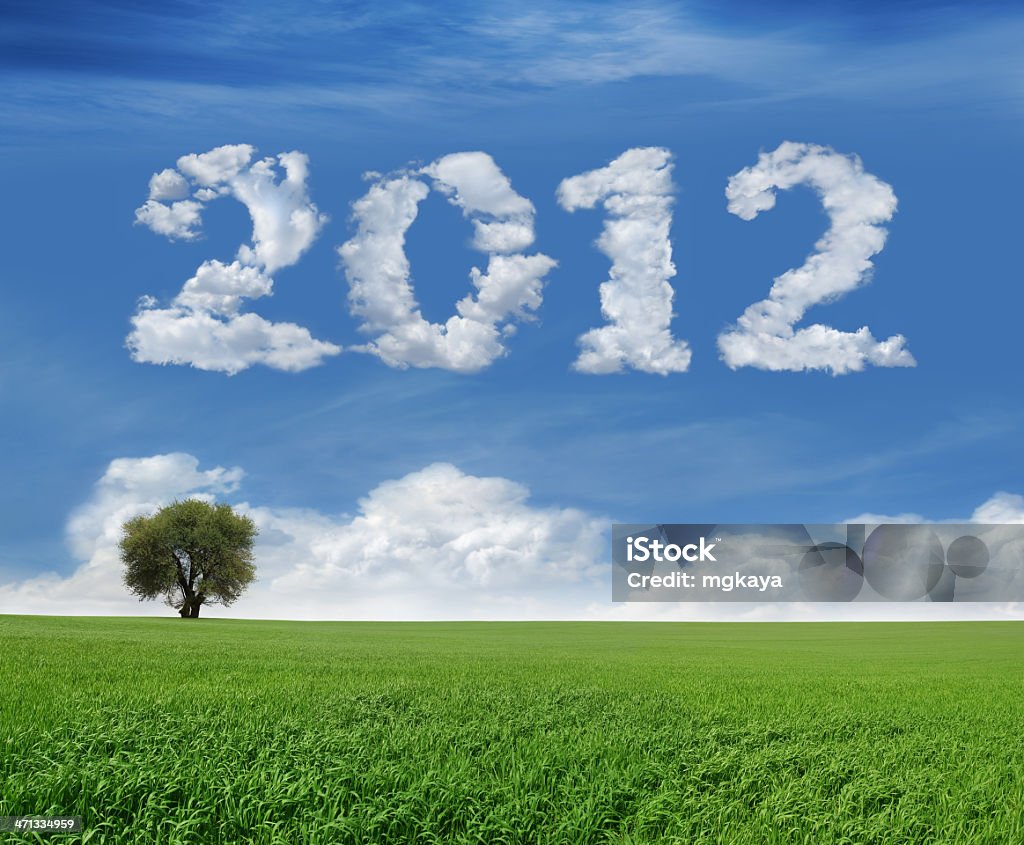 New Year 2012 And Field Lonely tree and green field landscape with clouds in the shape of "2012". 2012 Stock Photo