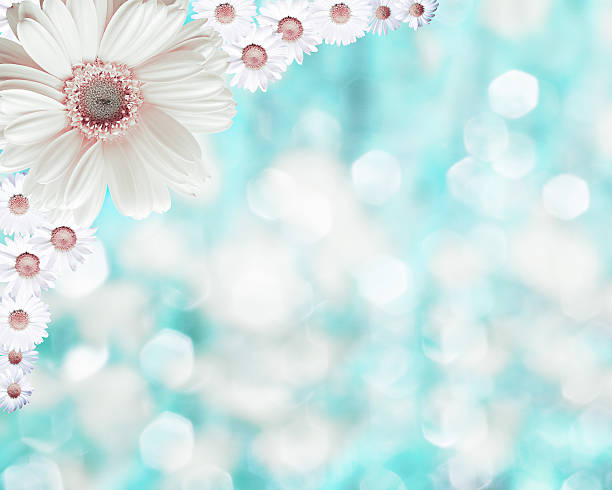 istock Floral border blurred background, flowers chamomile 471335924