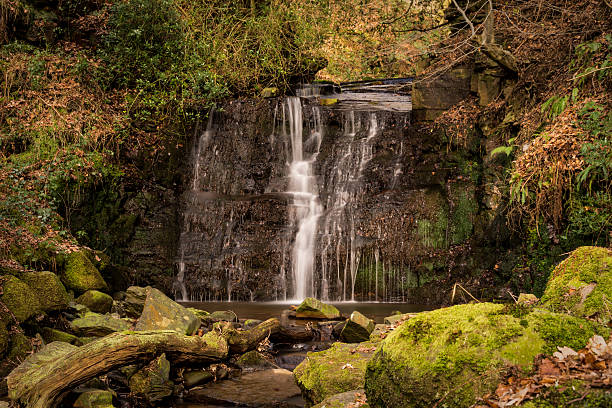 Photo of Trickling Tiger's Clough Waterfall In The English Woodland.