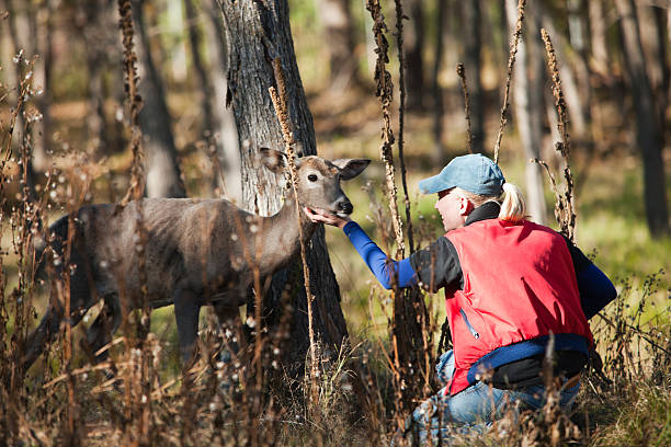 istock Young woman enjoys an encounter with a doe whitetail. 471337823