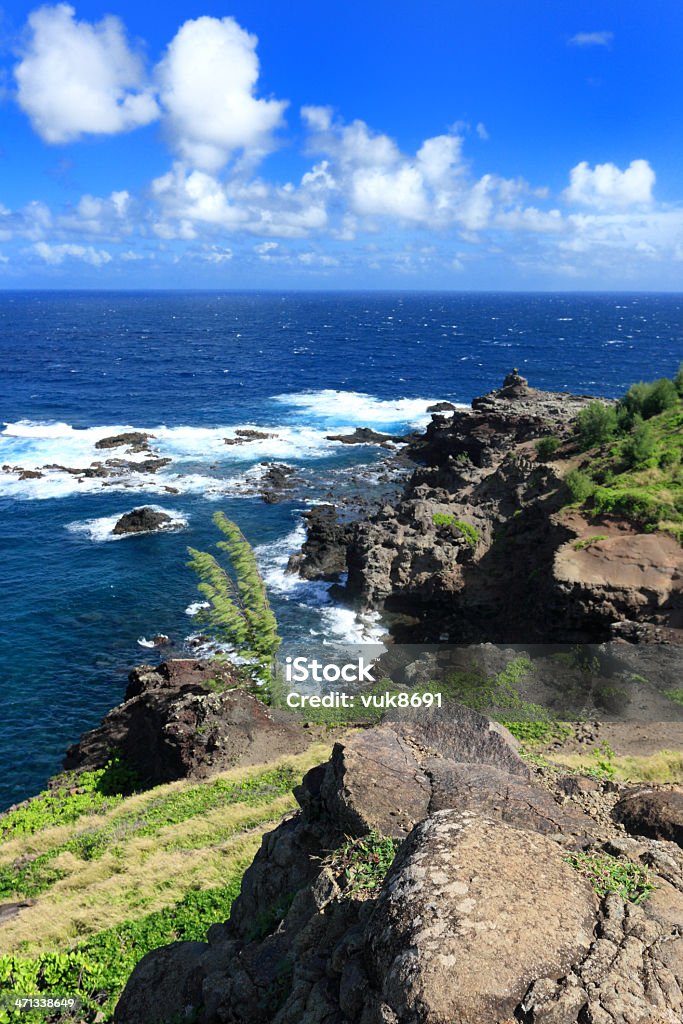 Côte sud de Maui - Photo de Maui libre de droits