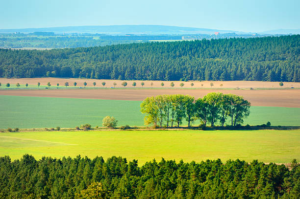 burg regenstein - regenstein zdjęcia i obrazy z banku zdjęć