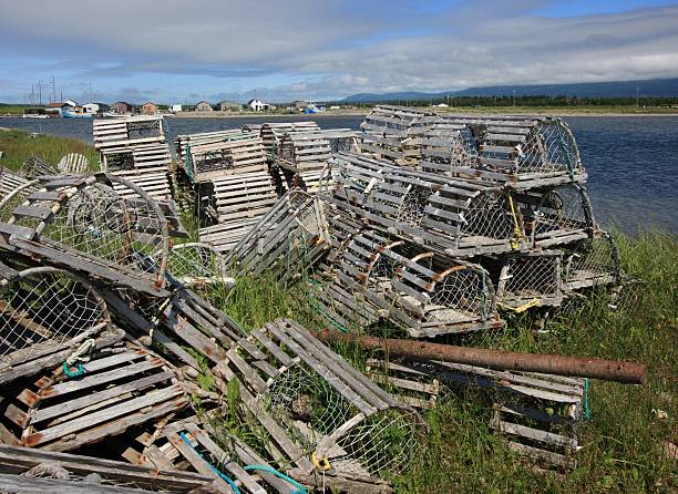 istock Lobster Traps at Parson's Pond 471339157
