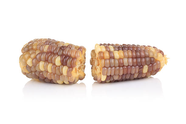 istock Cobs of corn isolated on a white background 471339756
