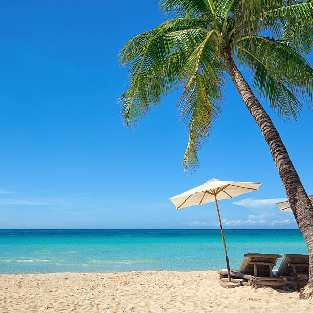 Holiday at a tropical beach by the sea Two sun chairs and a parasol under a palm tree at a tropical beach by the sea. boracay photos stock pictures, royalty-free photos & images