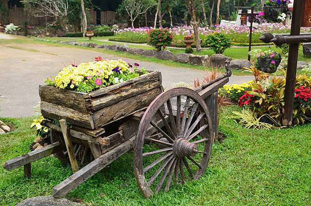 alten hölzernen wagen voller blumen im garten - tumbrel stock-fotos und bilder