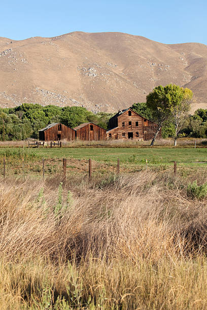 istock Old California barns in Sierra Nevada Vertical 471343849