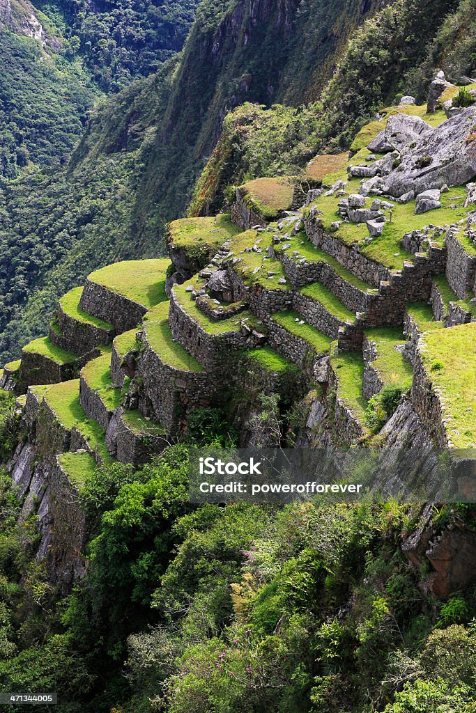 Hintere Terrasse des Machu Picchu - Lizenzfrei Machu Picchu Stock-Foto