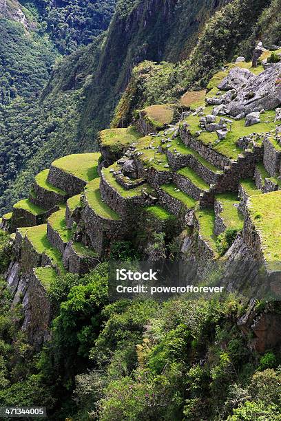 Hintere Terrasse Des Machu Picchu Stockfoto und mehr Bilder von Machu Picchu - Machu Picchu, Alt, Altertümlich