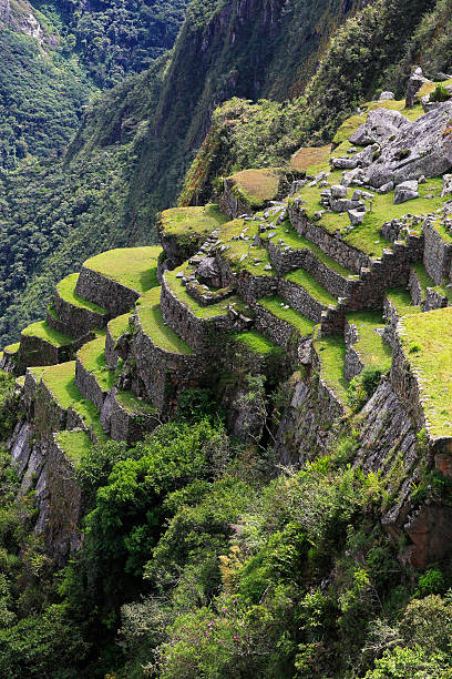 Architectural detail of Machu Picchu, This is the rear side terraces.
