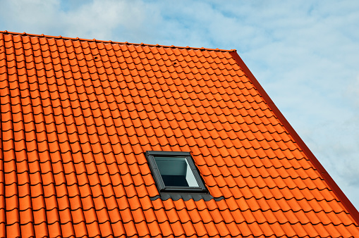 New tile roof and red brick smokestack. Converted from Nikon Raw.