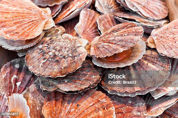 A Bunch Of Scallops For Sale At A Street Market Stock Photo - Download Image Now - Scallop, Animal Shell, Raw Food