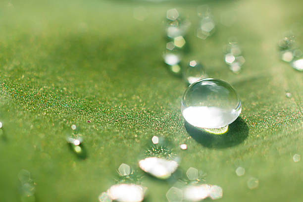 istock drops of dew on a green grass 471348442