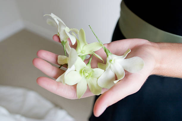 Bridesmaid Showing a Bunch of Ornate Flowers on her Palm Bridesmaid showing an ornate flower for the wedding ceremony. The bridesmaid is wearing a black dress with a wide silver belt. The ornate flowers are designed to go to the bride's hair as decoration. beauty and beast rose stock pictures, royalty-free photos & images