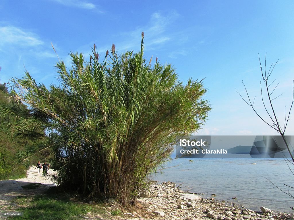 Sirmione, Shore south of Lake Garda Italy Shore of Sirmione - South of Lake Garda - Italy, blue sky, rock beach, no trees, peace and relaxation, few clouds, southern tip, hike around the peninsula of Sirmione 2015 Stock Photo