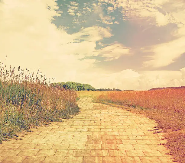 yellow brick road through green meadows, fantasy background, retro filtered, instagram style