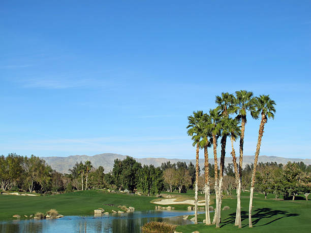 istock Lush green golf course in the Palm Springs desert 471351335