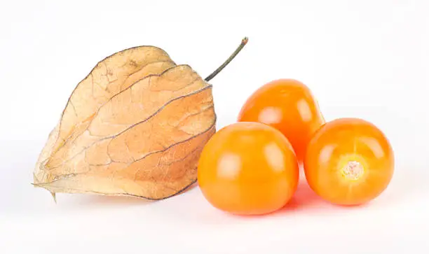 Group of Physalis on white background.