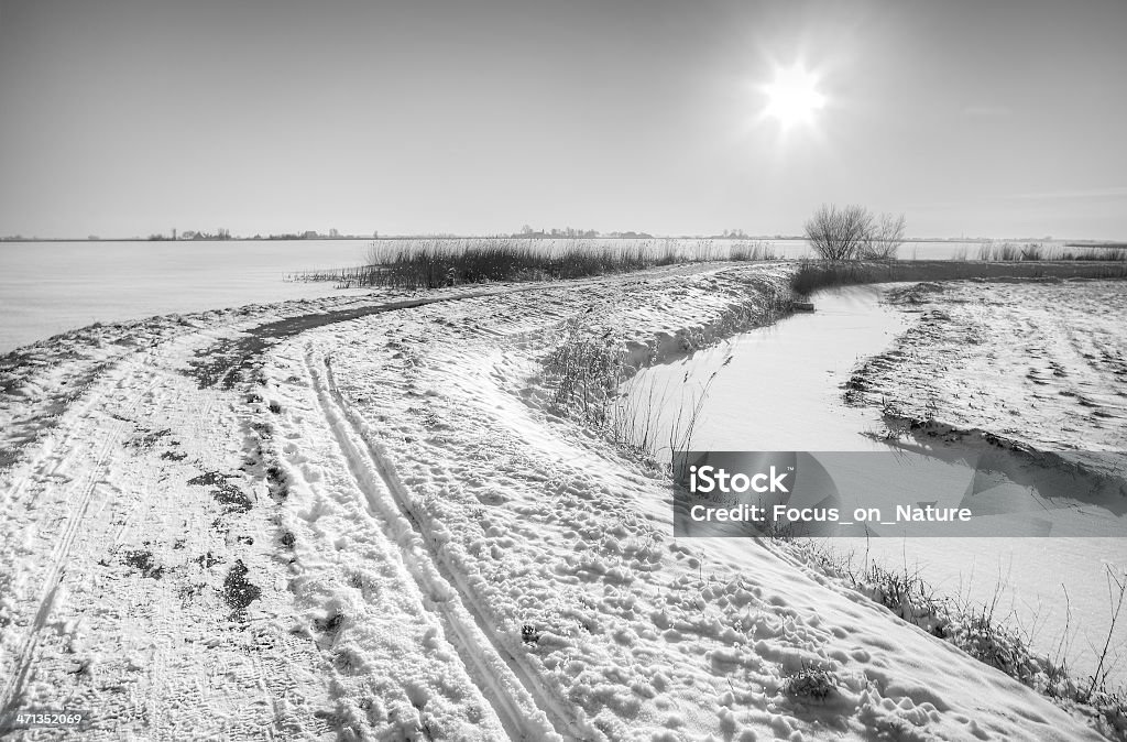 Pólder neerlandés en invierno, B y W. - Foto de stock de Agua libre de derechos