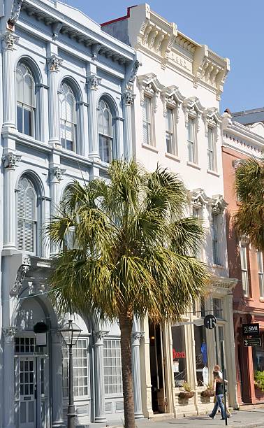 charleston, carolina del sud - day vertical palmetto south carolina foto e immagini stock