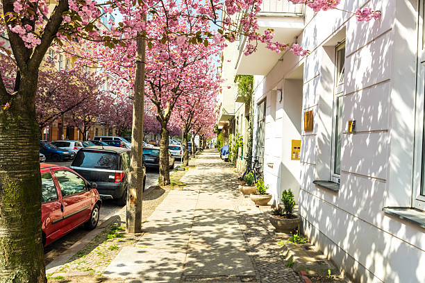 Street in Berlin with cherry trees