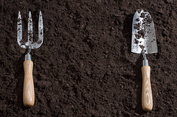 Soil Background Soil background with garden tools place in a "dinner setting" fashion. garden fork stock pictures, royalty-free photos & images