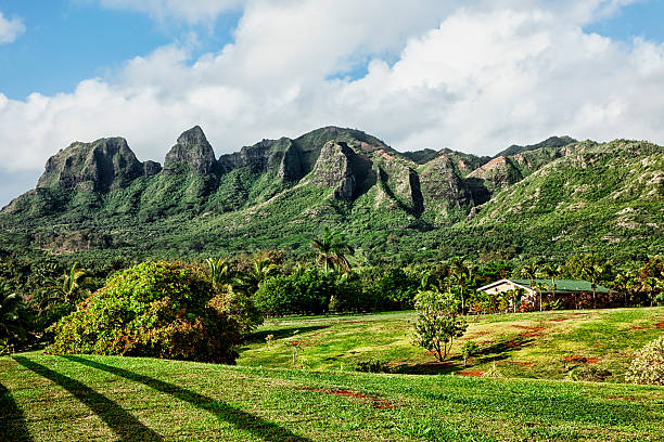 istock Kalalea Mountain, Kauai 471356217