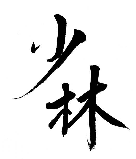 Shaolin Translation: "Shaolin" Martial Arts; calligraphy done by myself. chan buddhism photos stock pictures, royalty-free photos & images