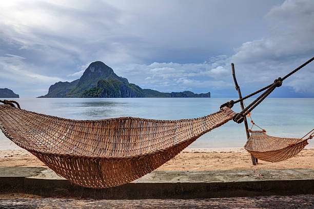 istock Hammocks anchored between palm trees on a sand beach 471358009