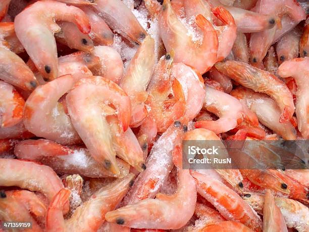Photo libre de droit de Frozen Crevettes banque d'images et plus d'images libres de droit de Aliment - Aliment, Aliment cru, Aliments et boissons