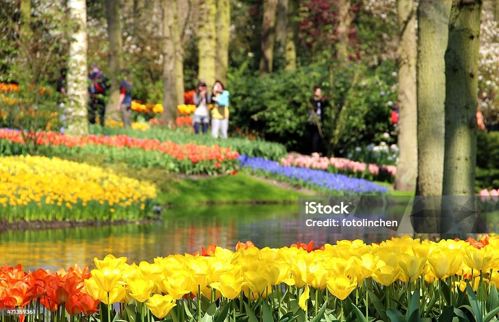 Garten im Frühling - Lizenzfrei Gartengestaltung Stock-Foto